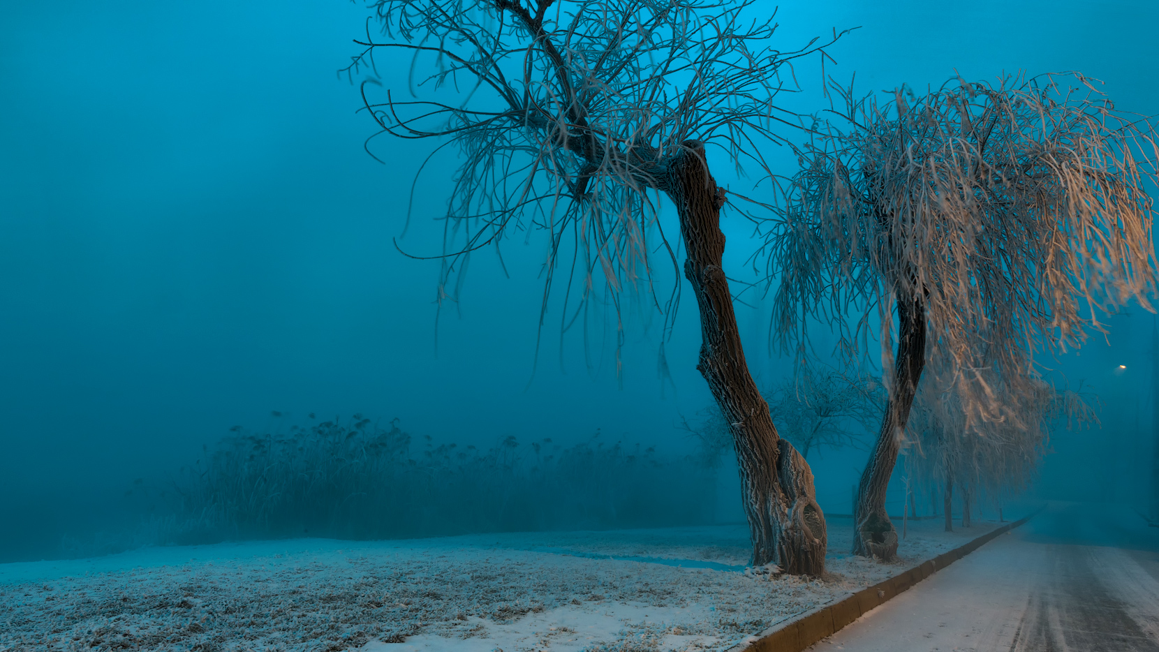 Когда наступит рассвет