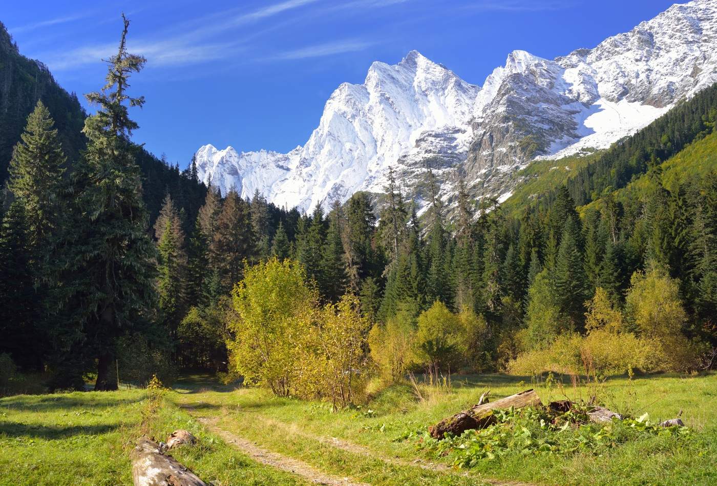 Осеннее утро