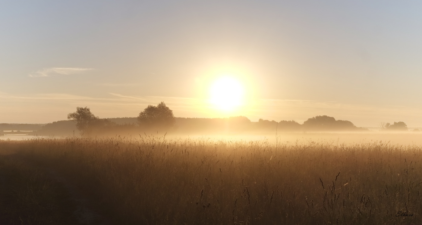 Утро в поле у реки.