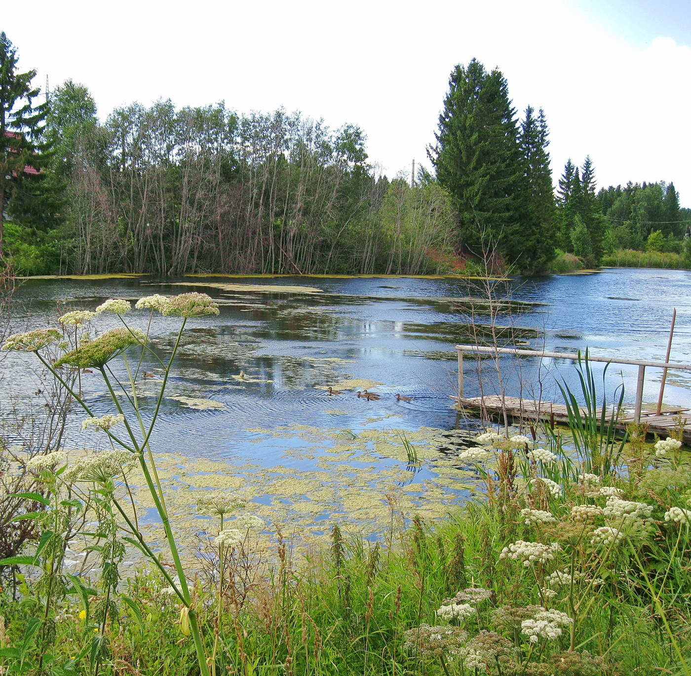 Не из моего окна