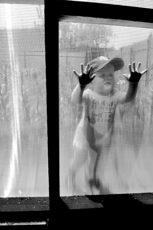 Не из моего окна