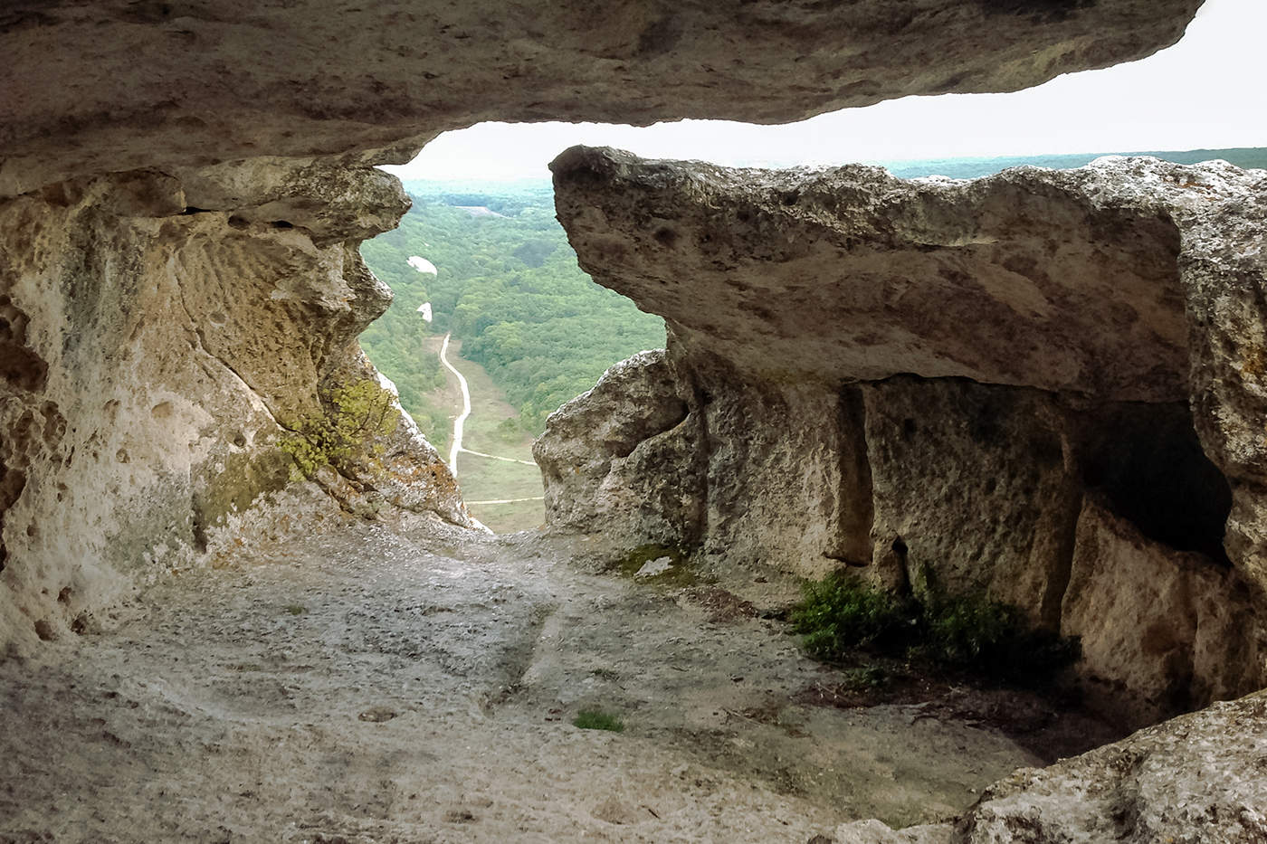 Не из моего окна