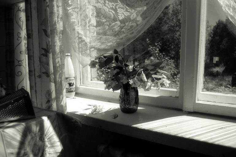 Не из моего окна