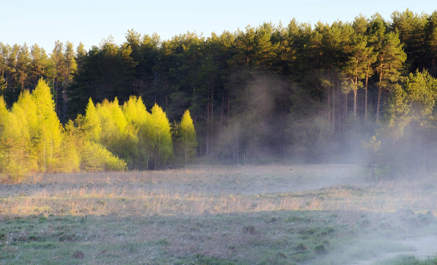 Под утренним солнцем