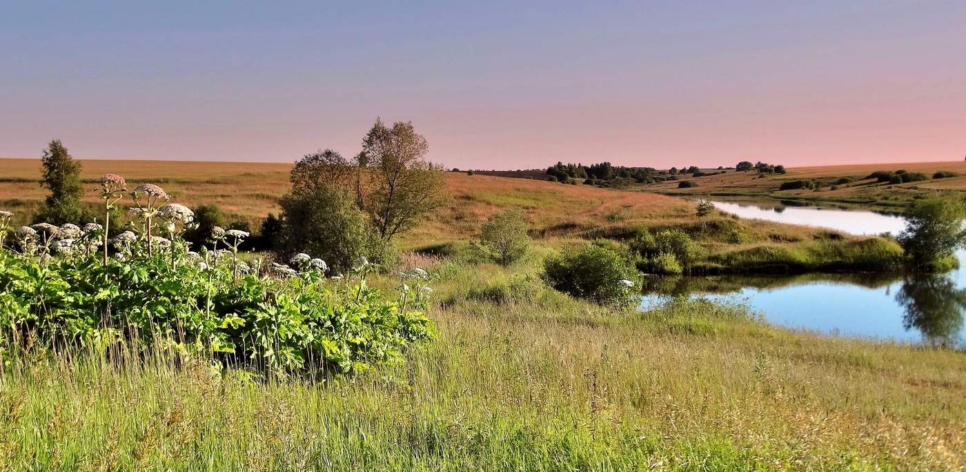 Июньский вечер