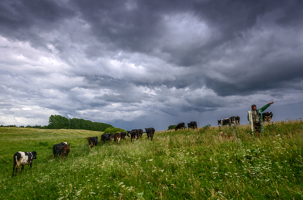 От грозы...