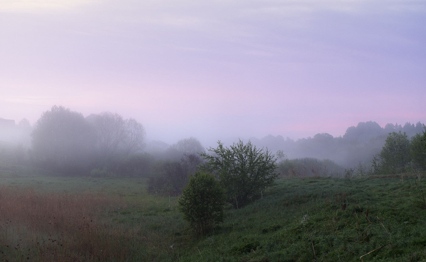 Туманная свежесть
