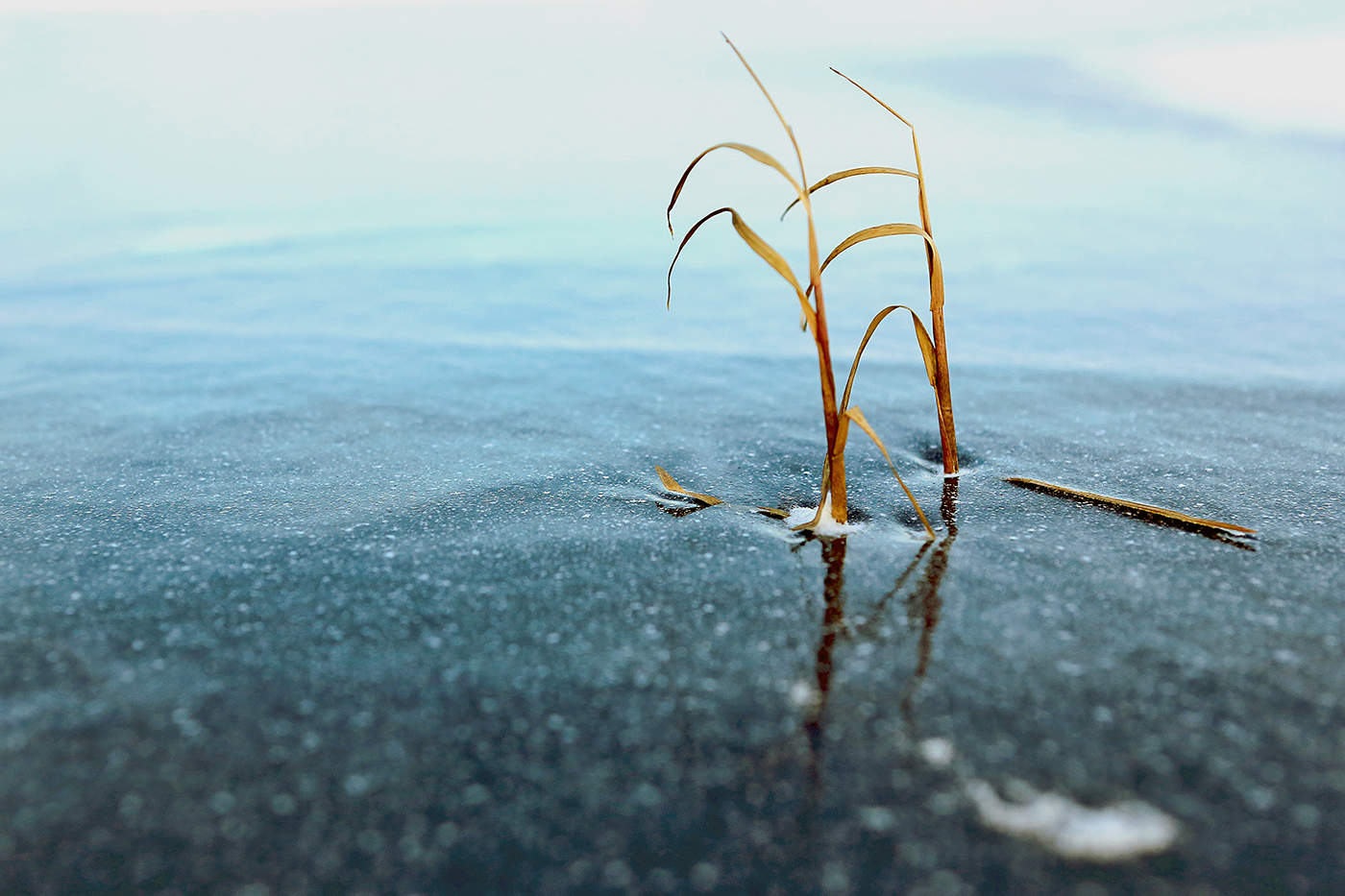 Зато вдвоём
