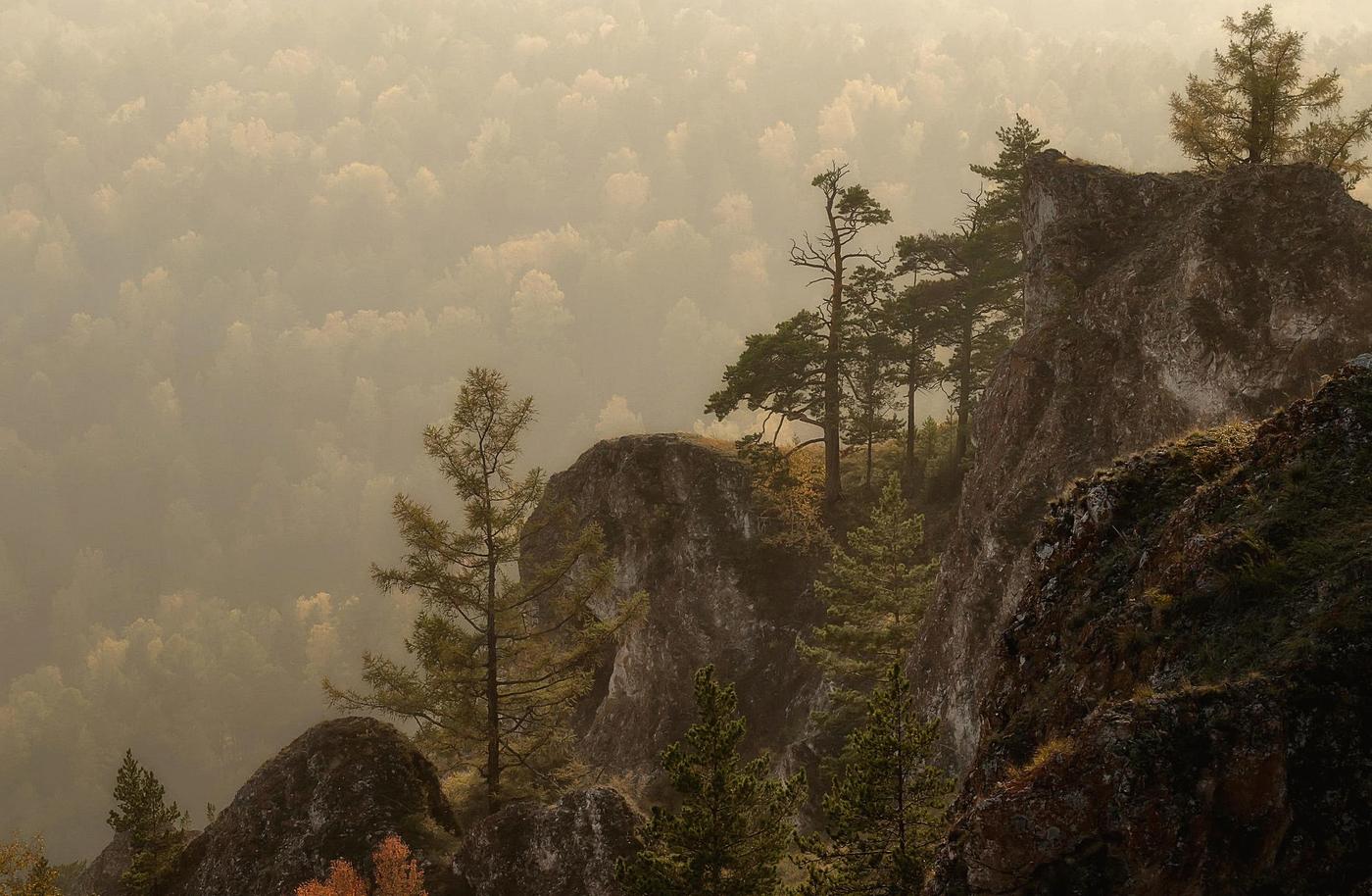 В вечерней дымке.