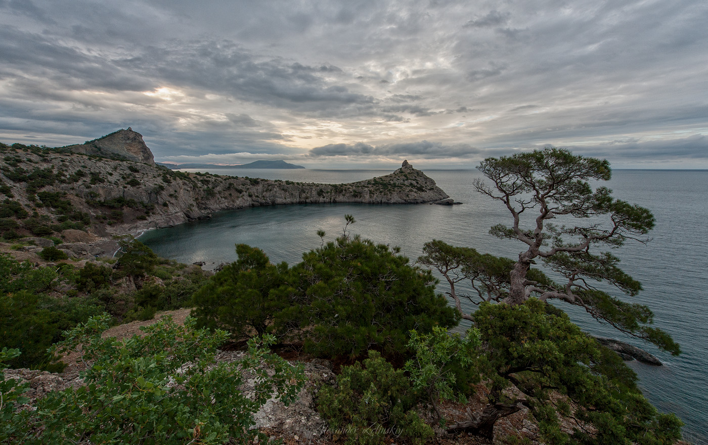 Хмурое утро