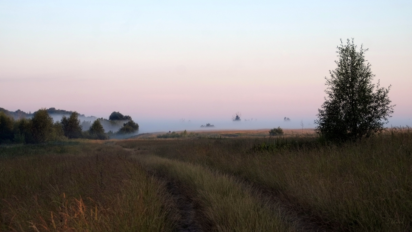 Дорога ведёт к туману.