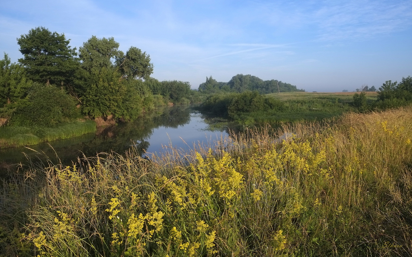 Летнее утро.