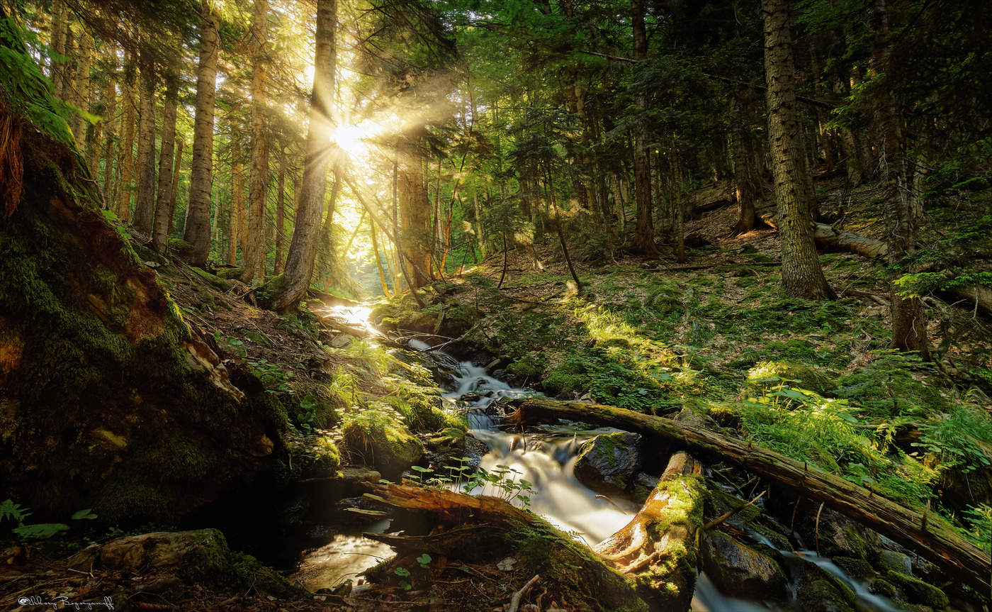 Светлый миг.