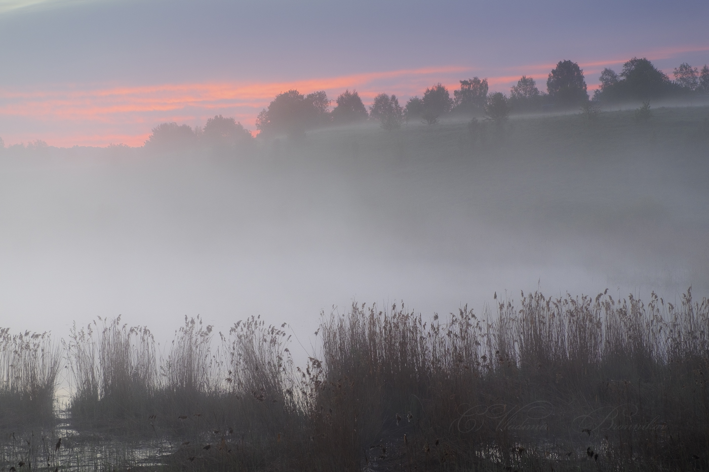 Туман на утренней заре