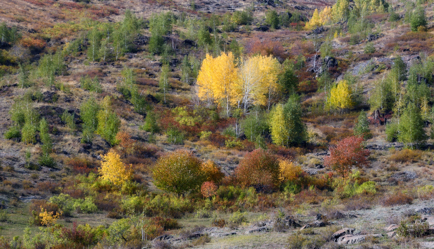 Осенний хоровод