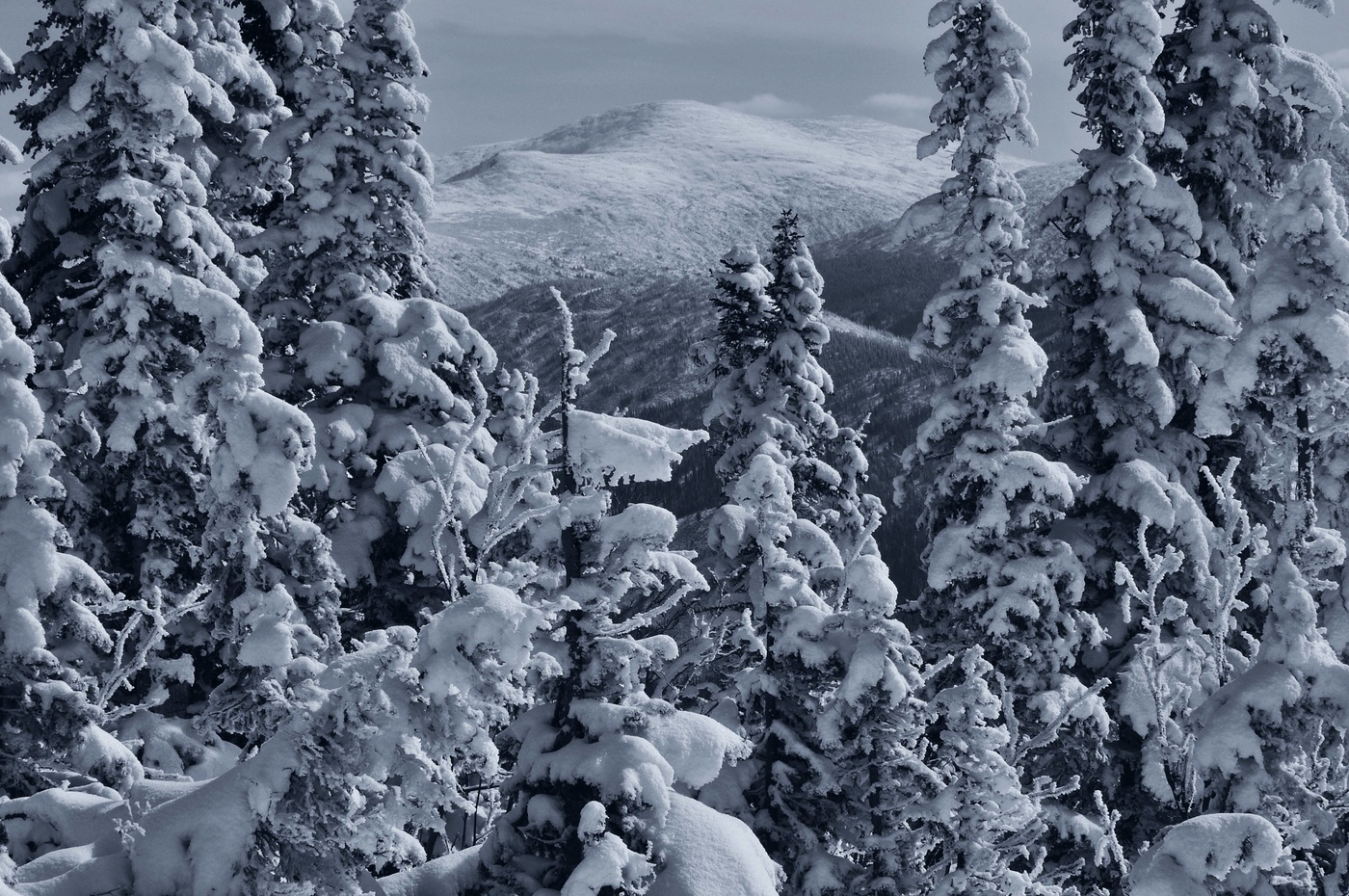 Снежное царство Поднебесные Зубья 2