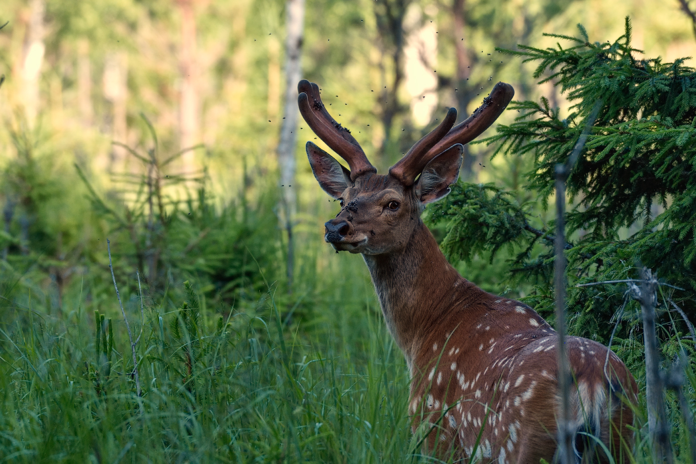 неожиданная встреча