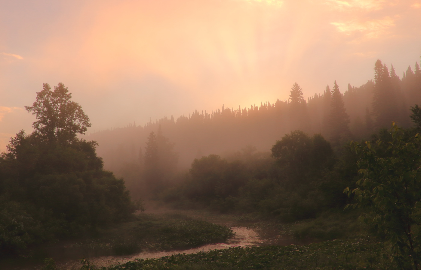 Туманный восход