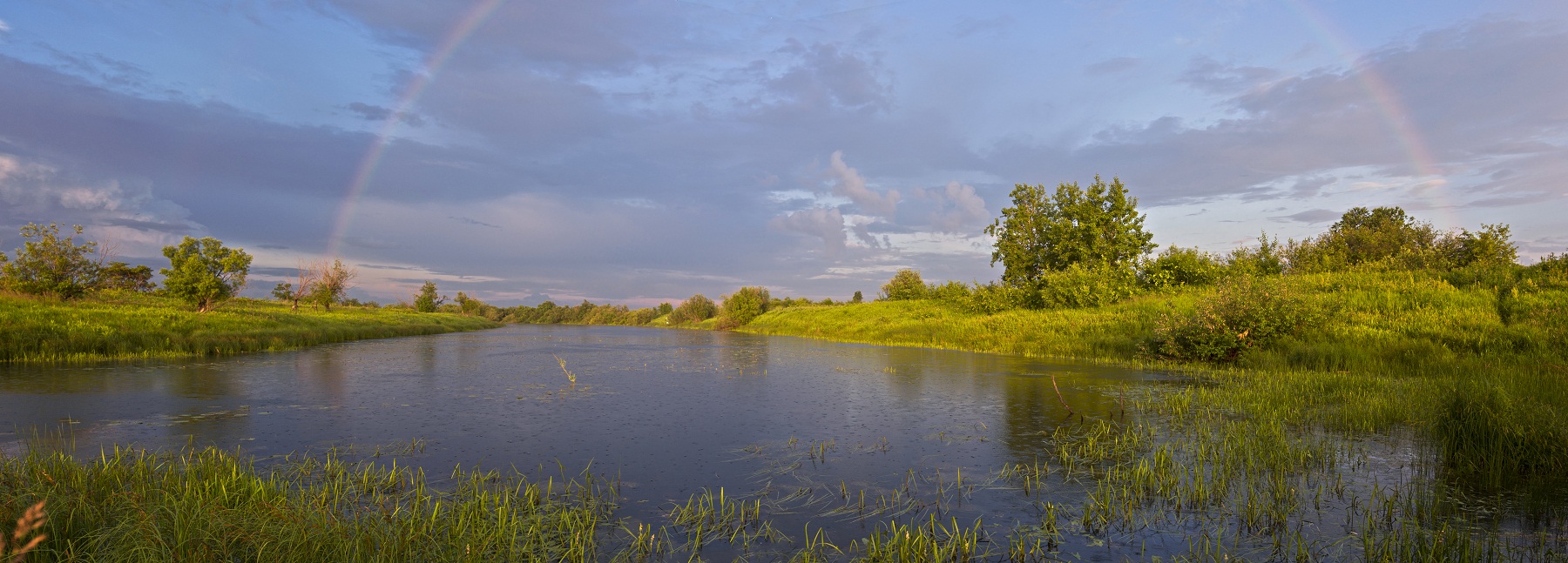 Под дождиком.