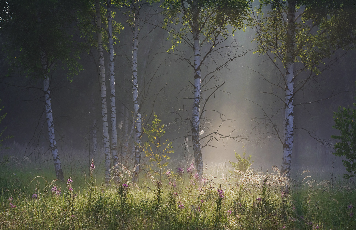 Берёзоньки