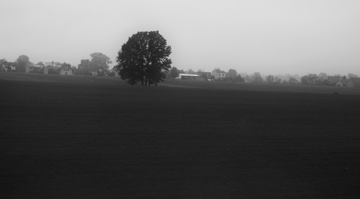 Серое утро ...