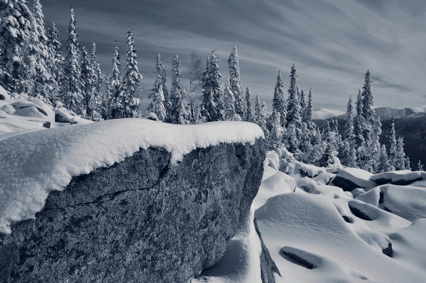 Поднебесным снегом