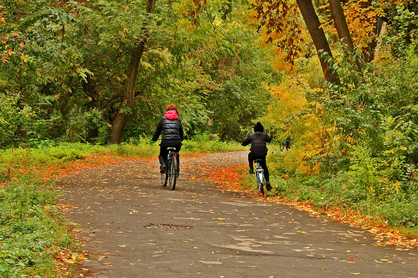 По дорожке прямиком