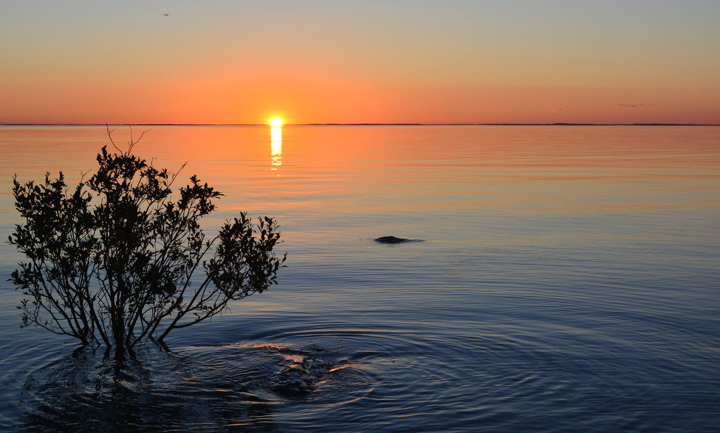 Закат над Ладогой