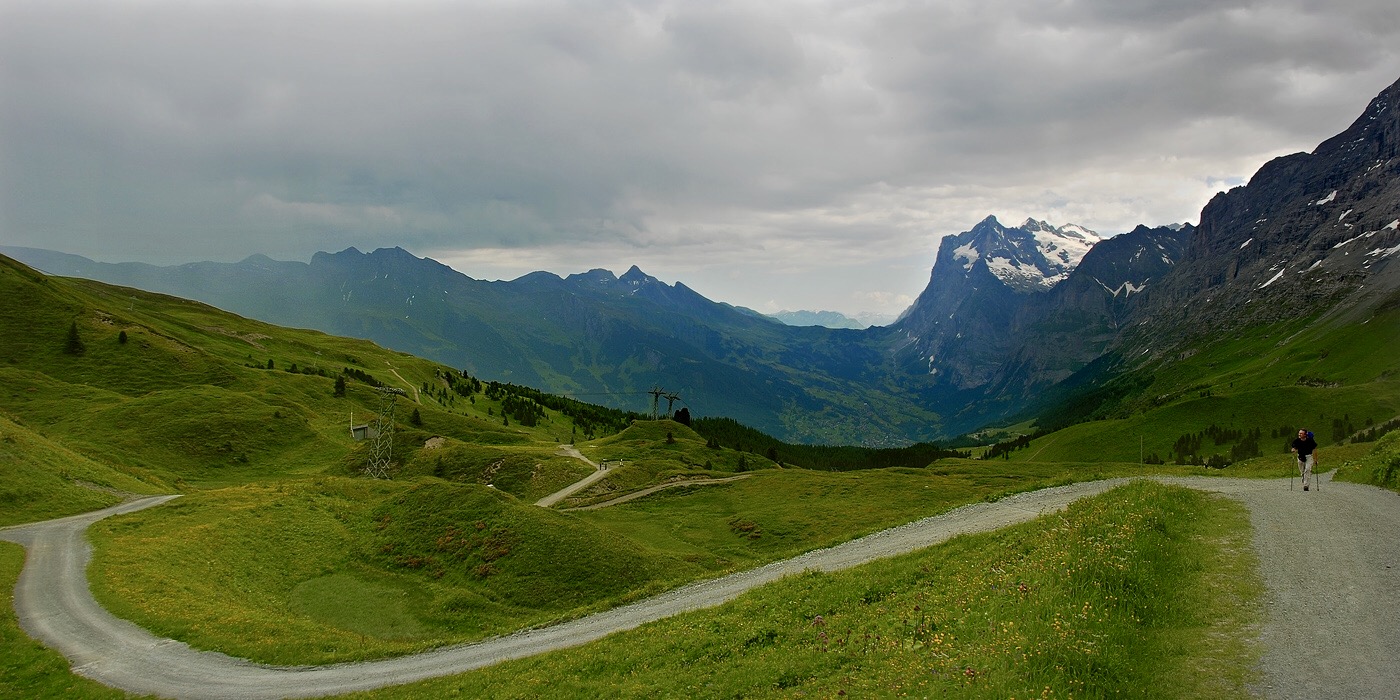 По дорожке прямиком