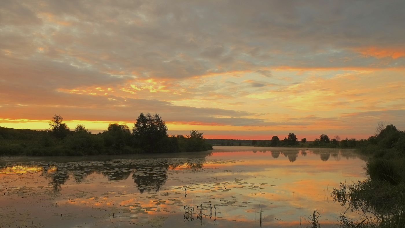 Летний рассвет.