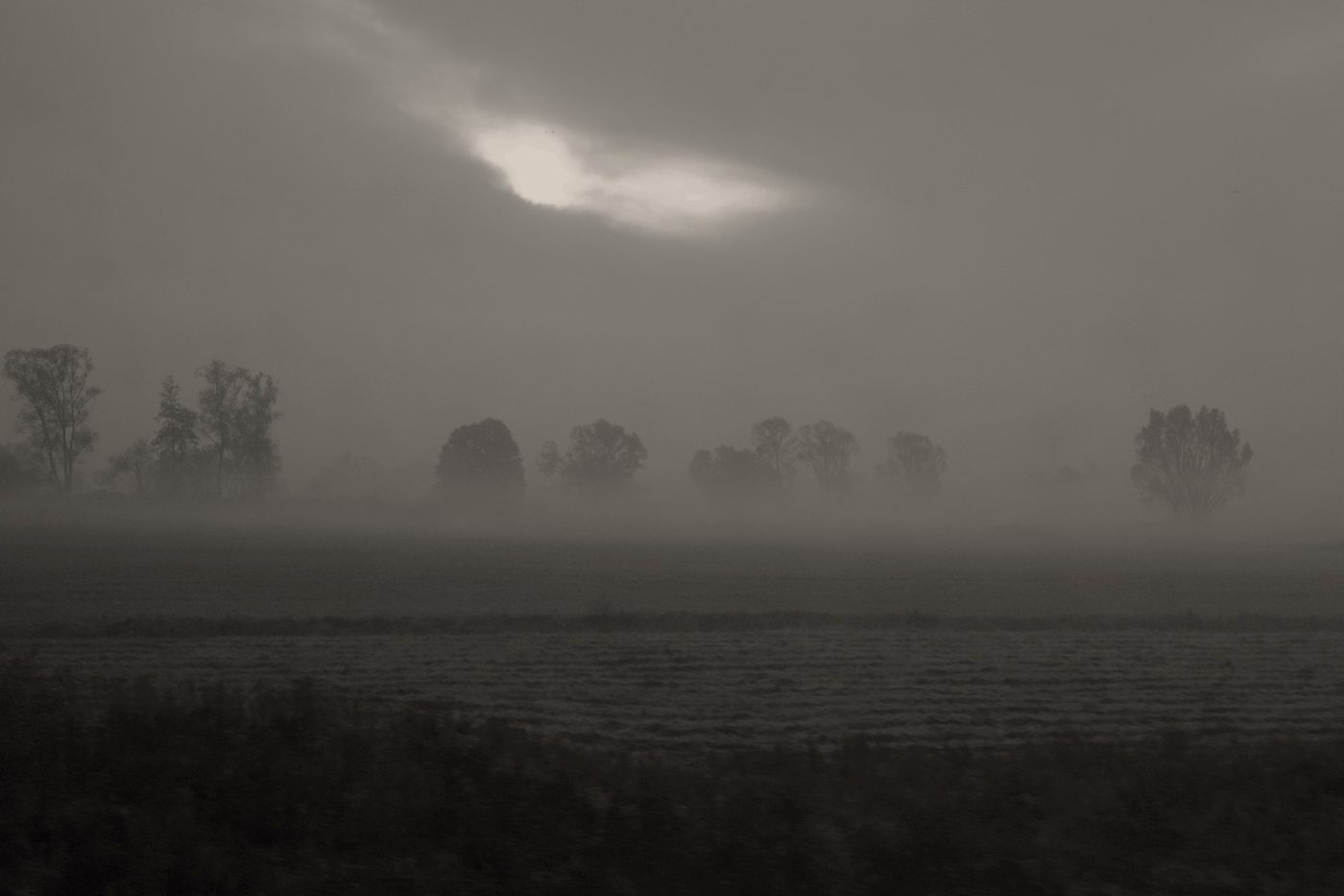 На рассвете ...