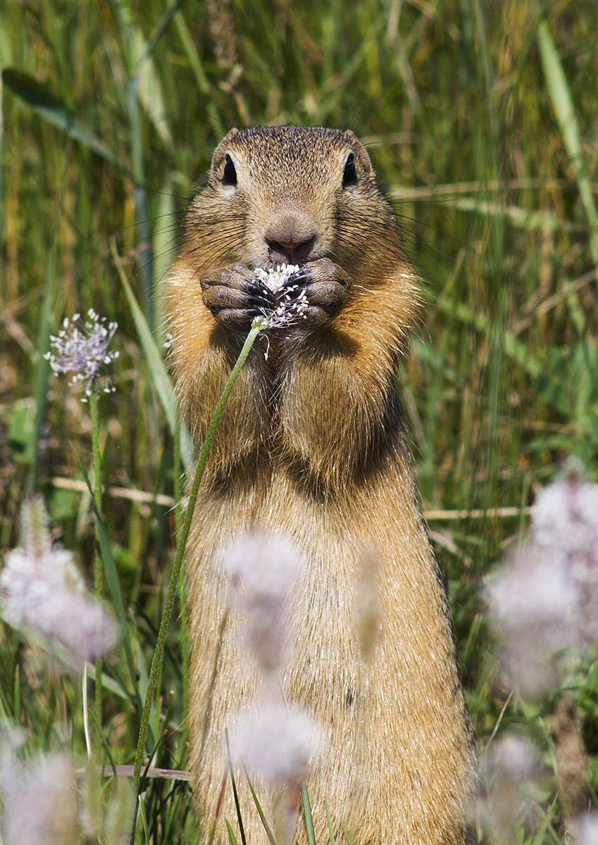 Время обеда