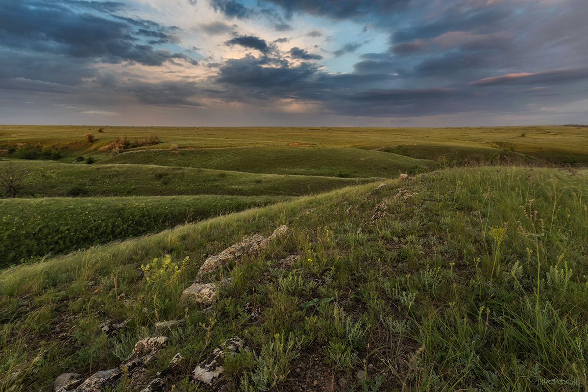 Степи глубокие морщины