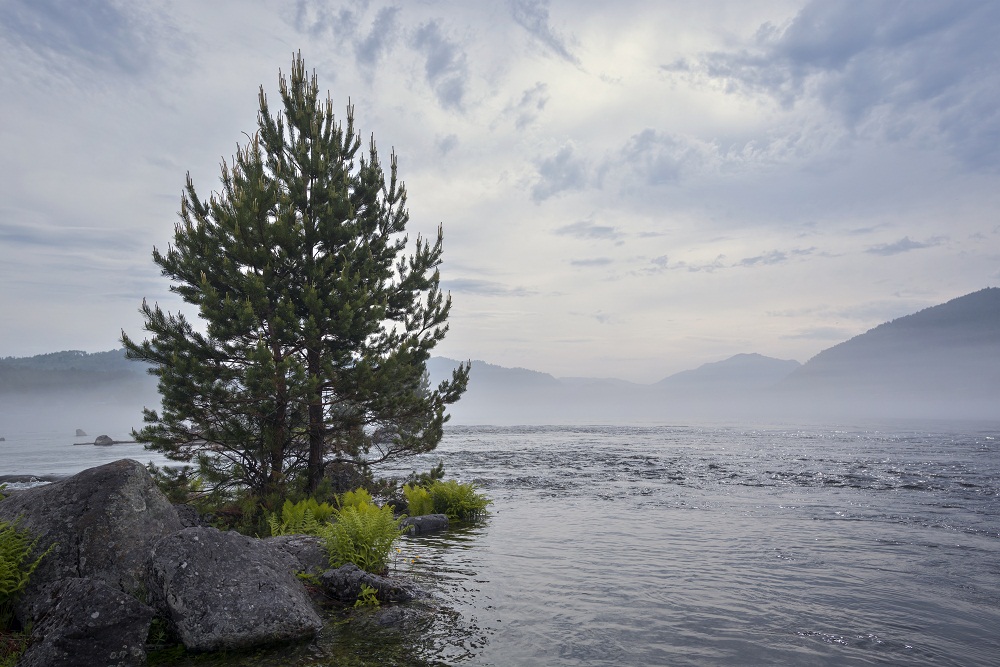 Холодное утро.