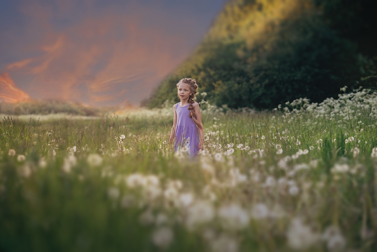 Всё лето в один вечер