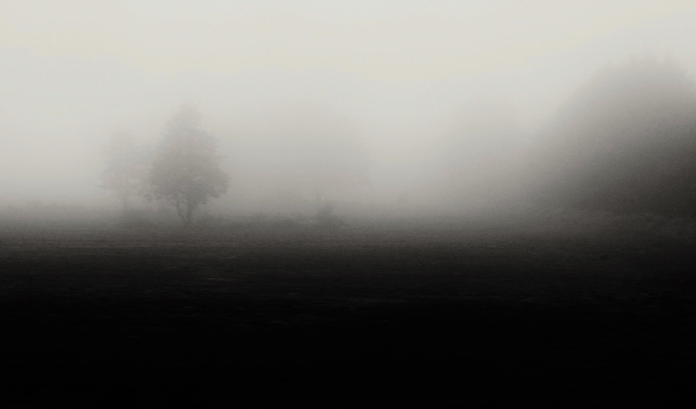 "Как странно бродить в туманной округе ..."