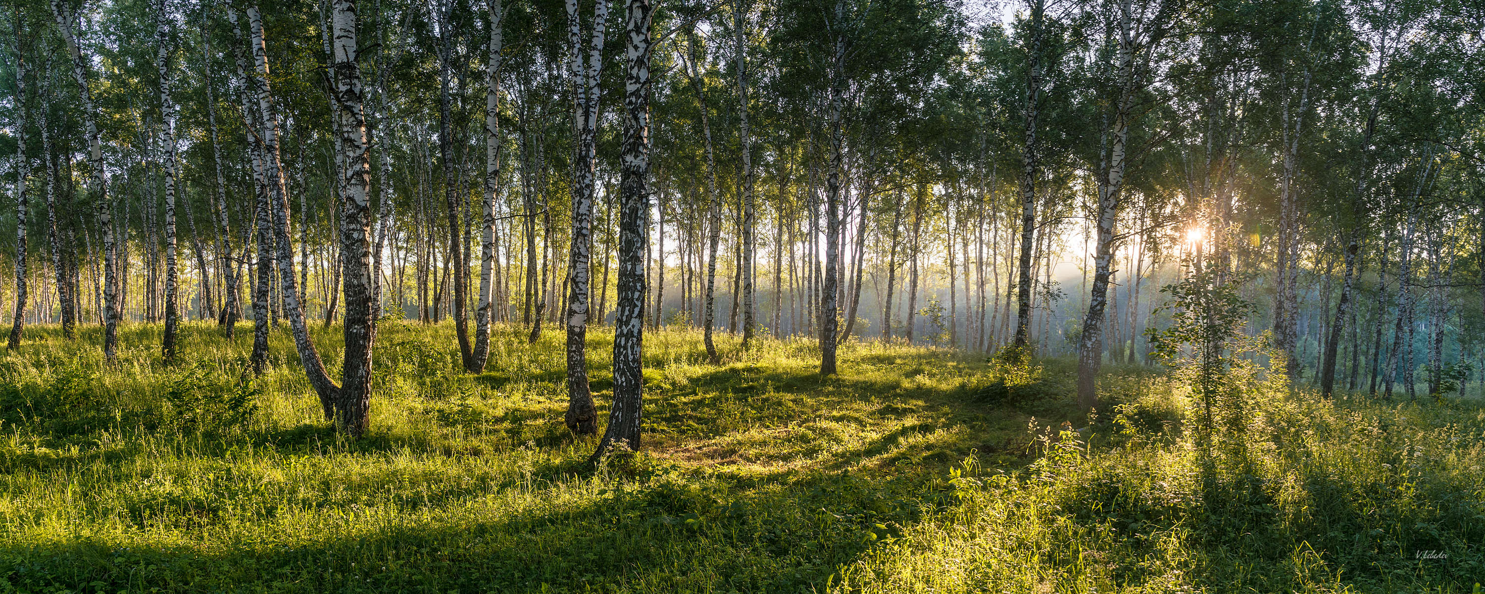 потоки солнечного света