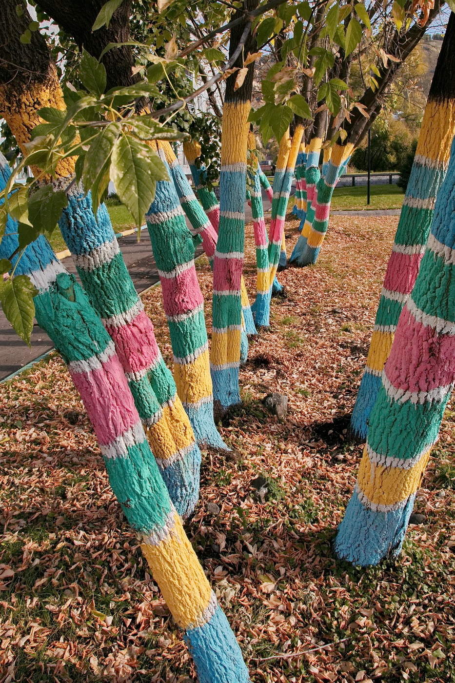 Веселые деревца