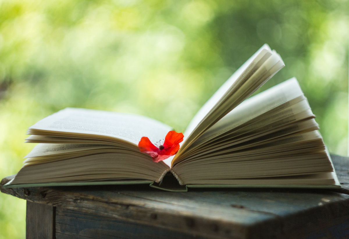 ...летние каникулы...