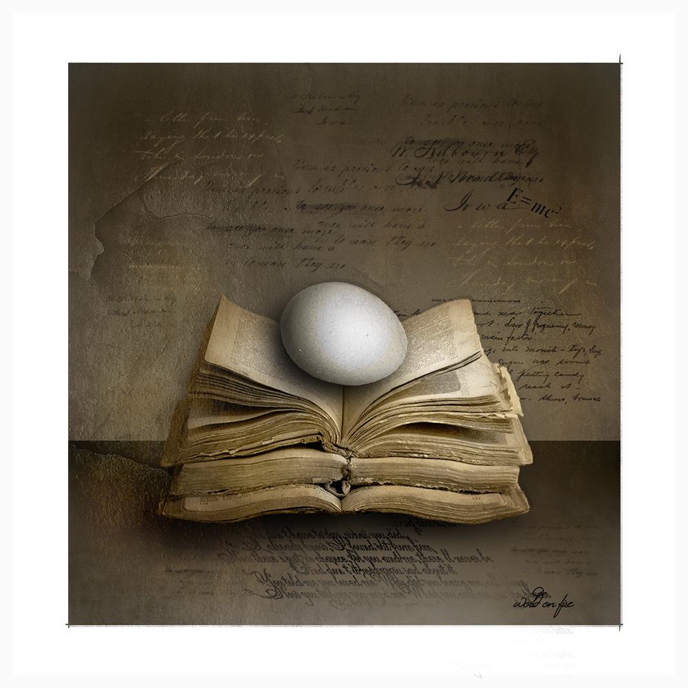 учиться никогда не рано