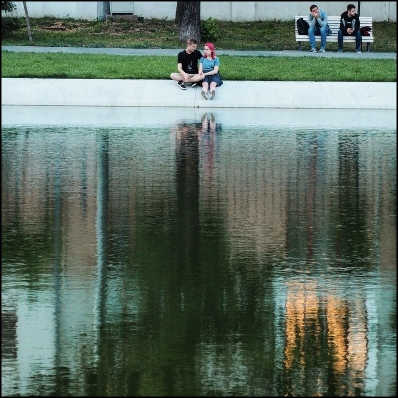 корни травы