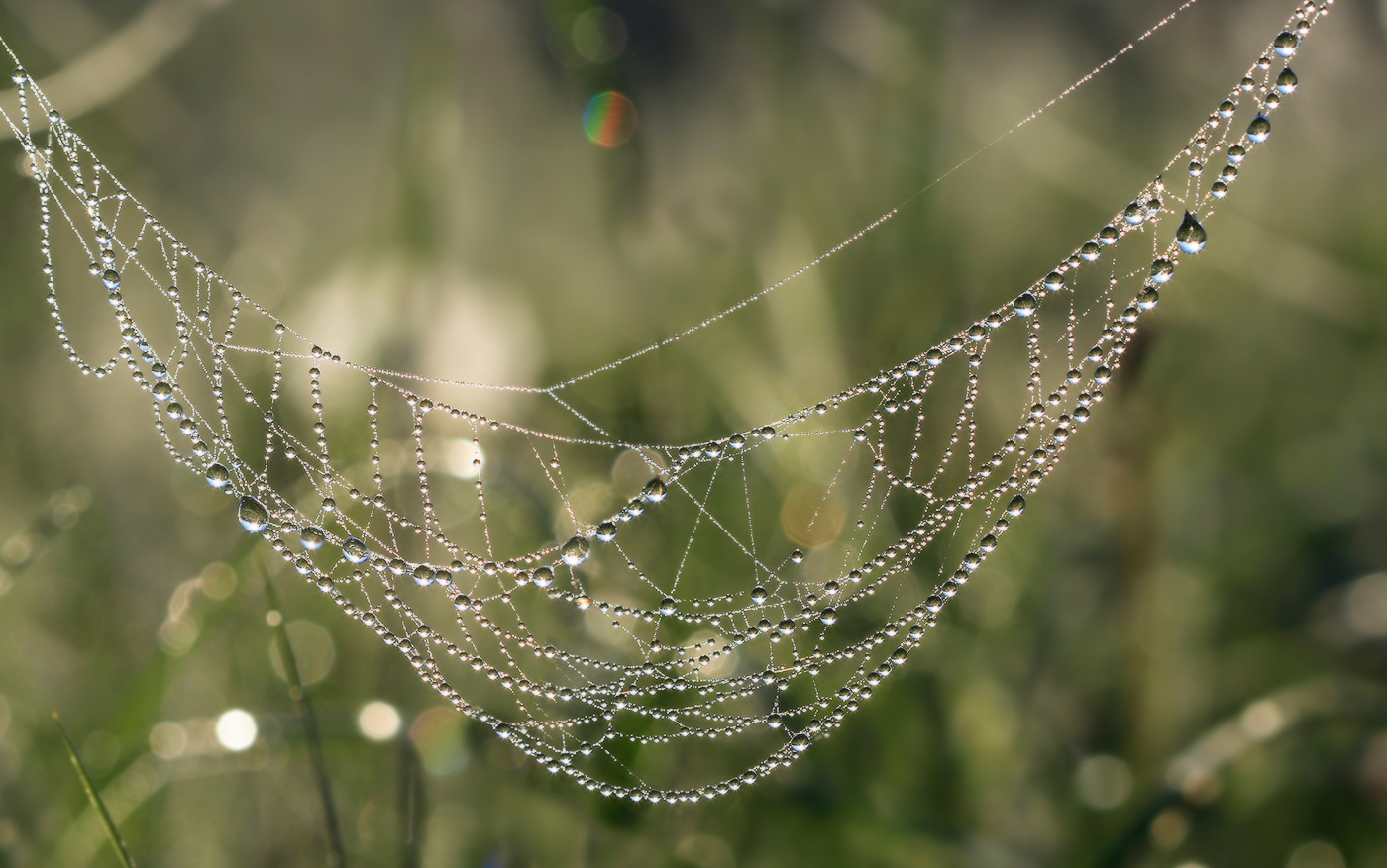 Колье из "алмазного" фонда