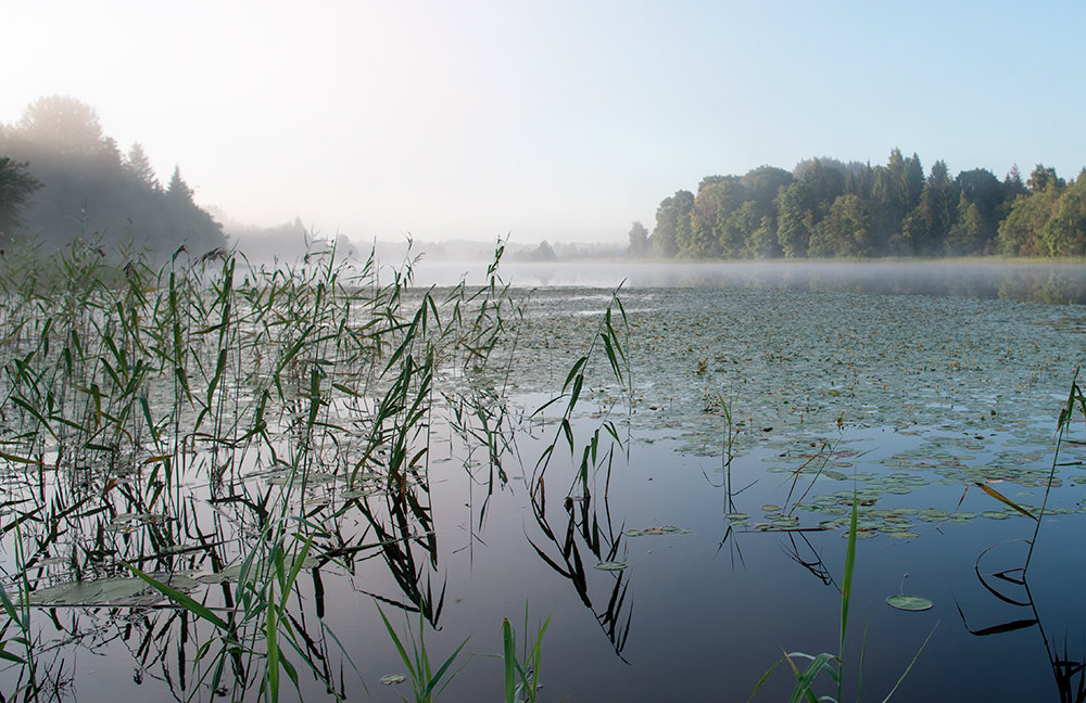 Селигер. Зуевская лука