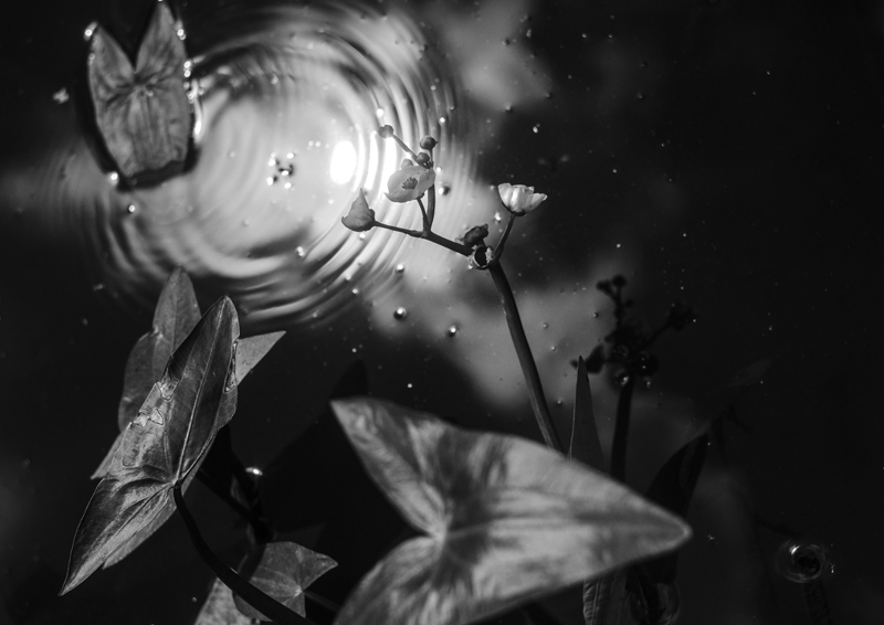 полуденное