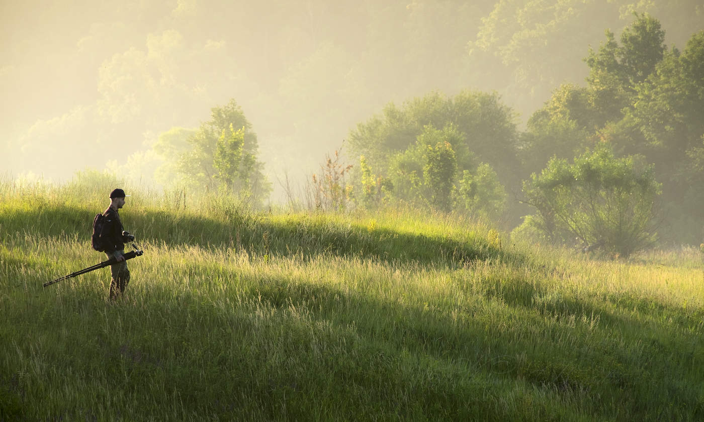 Идущий в рассветный туман