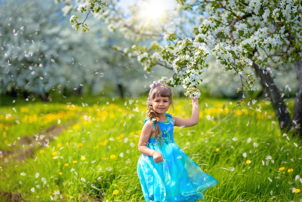 Когда осыпается яблонев цвет