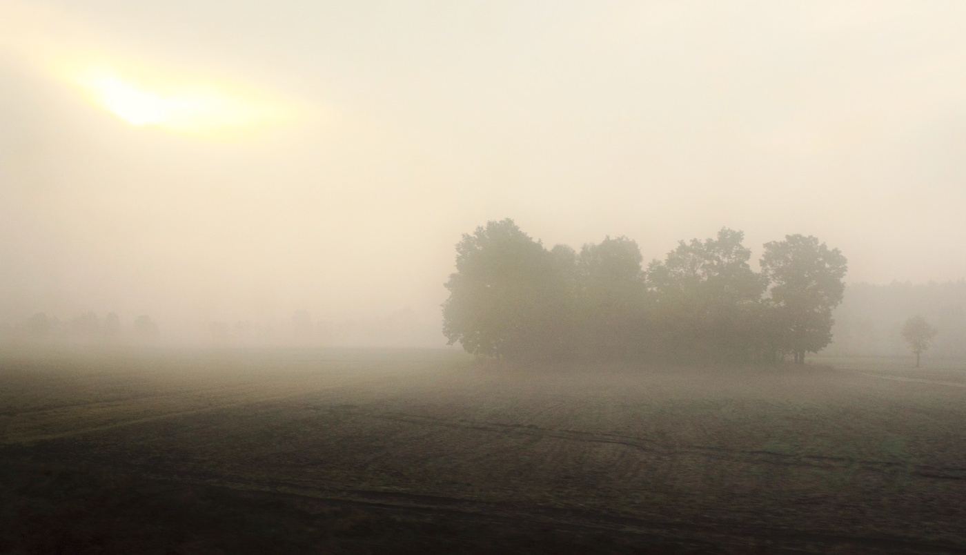 "Свет солнца был болезненный и странный..."
