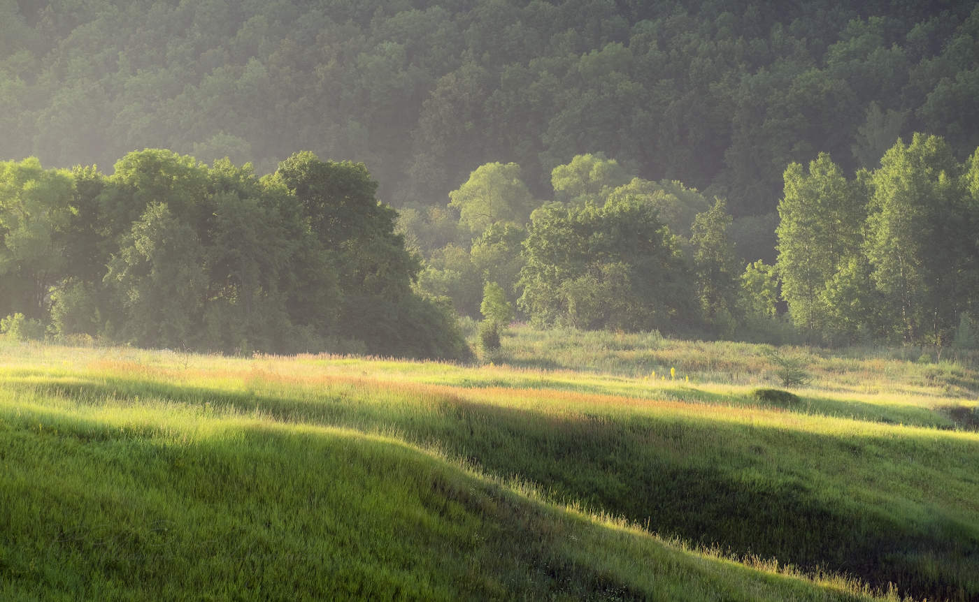 Солнечный этюд