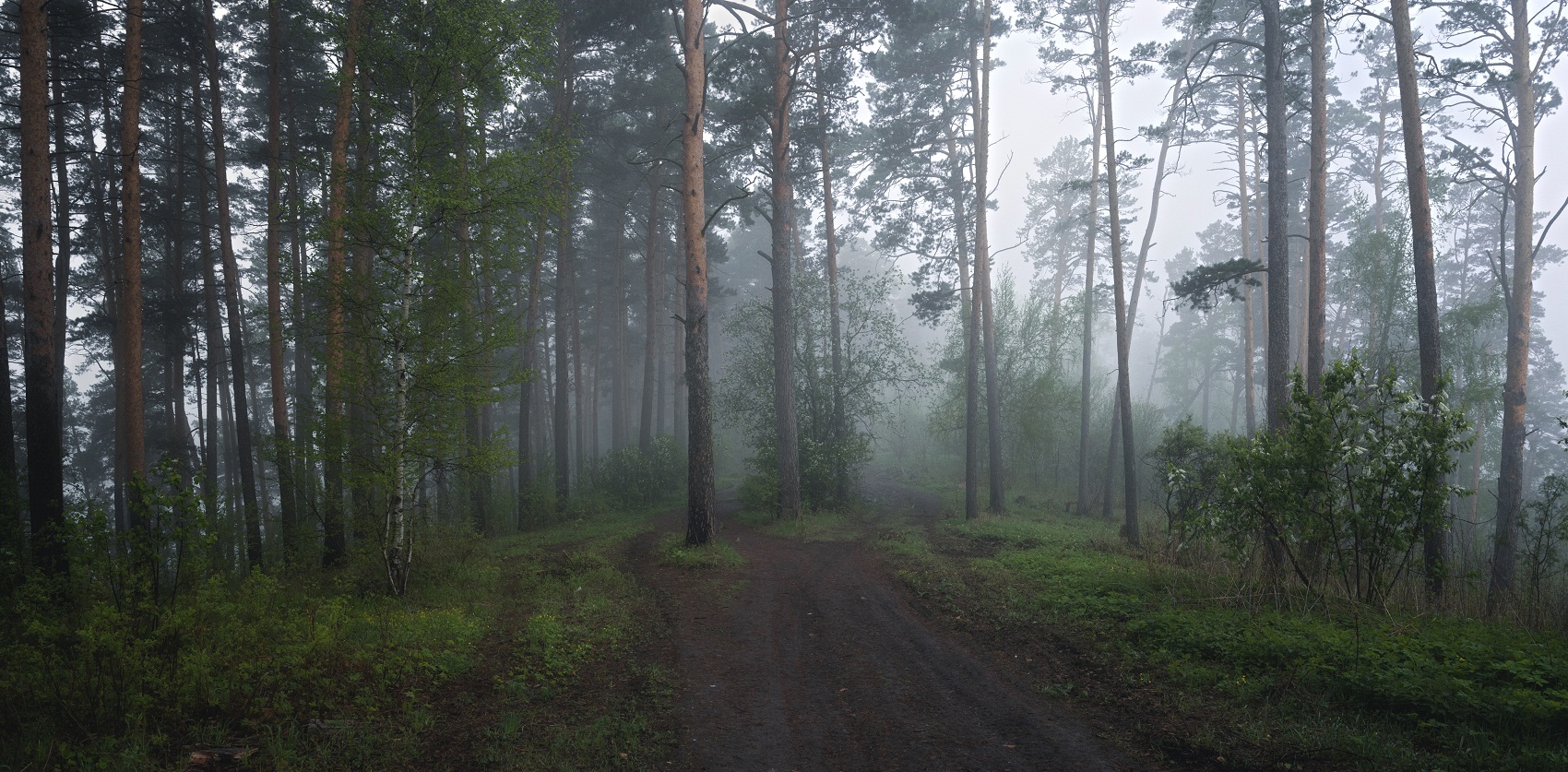 Лесные дороги.