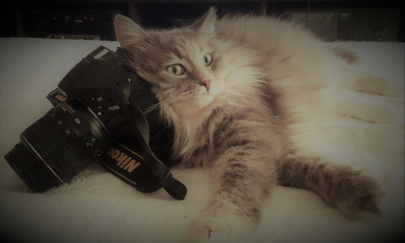 Два самых верных друга.